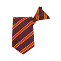 Braunton Academy House Ties