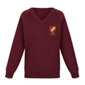 Braunton Academy V-Neck Jumper