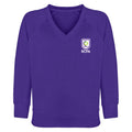 Roundswell Primary V-Neck Sweatshirt
